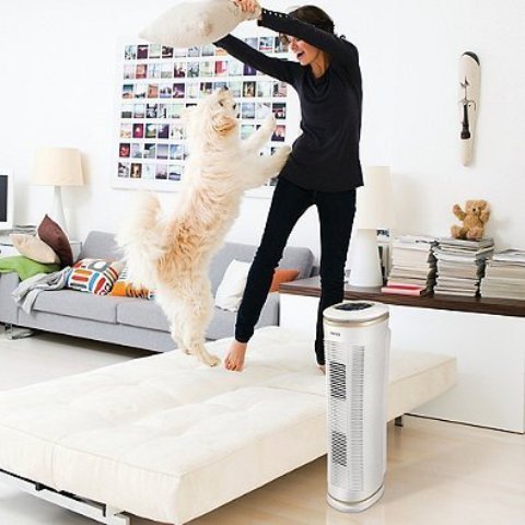 Best Air Purifier for Home