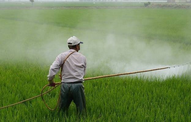 pollution from agricultural activities